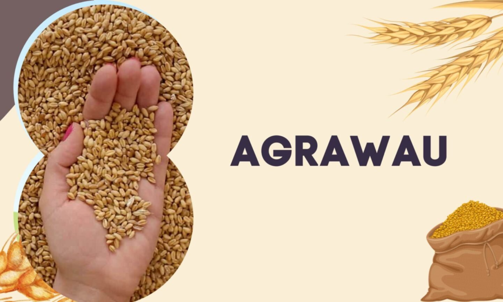 Agrawau