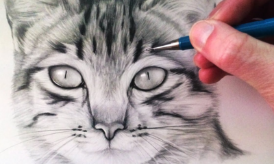 drawing:a4z_-ymtkr8= cat